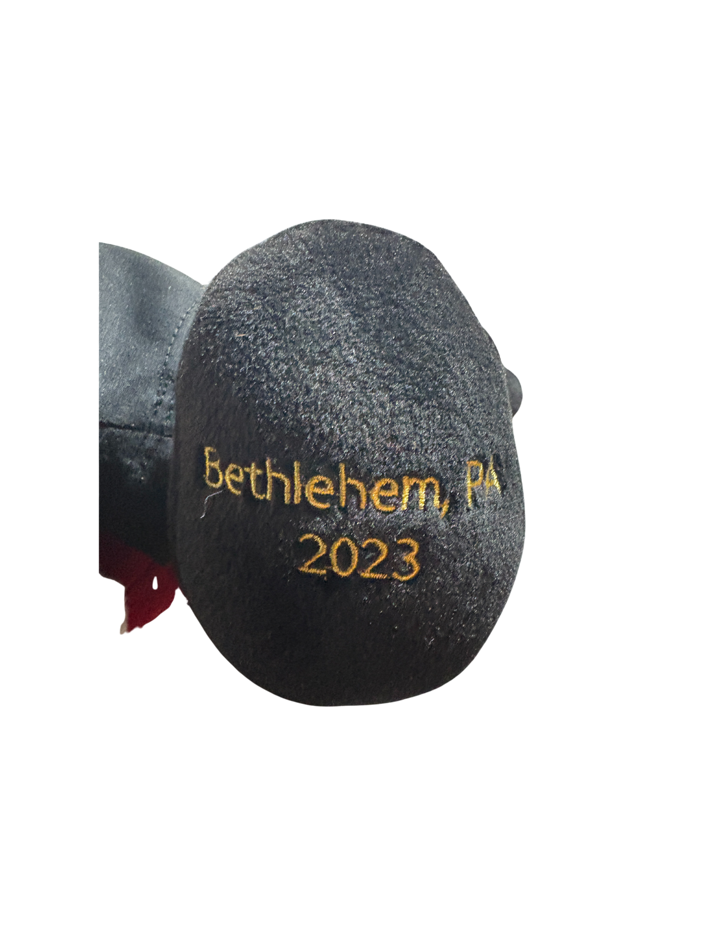 2023 Collectible Plush Santa