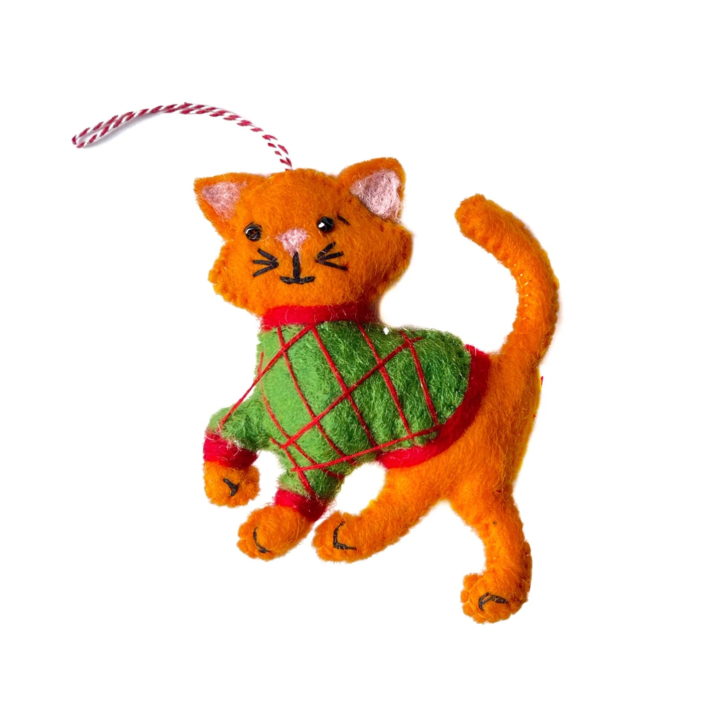 Orange Cat in Sweater