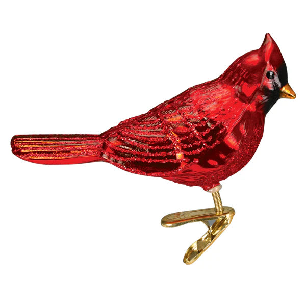 Northern Cardinal