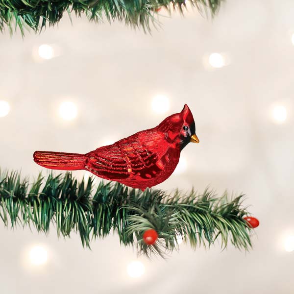 Northern Cardinal