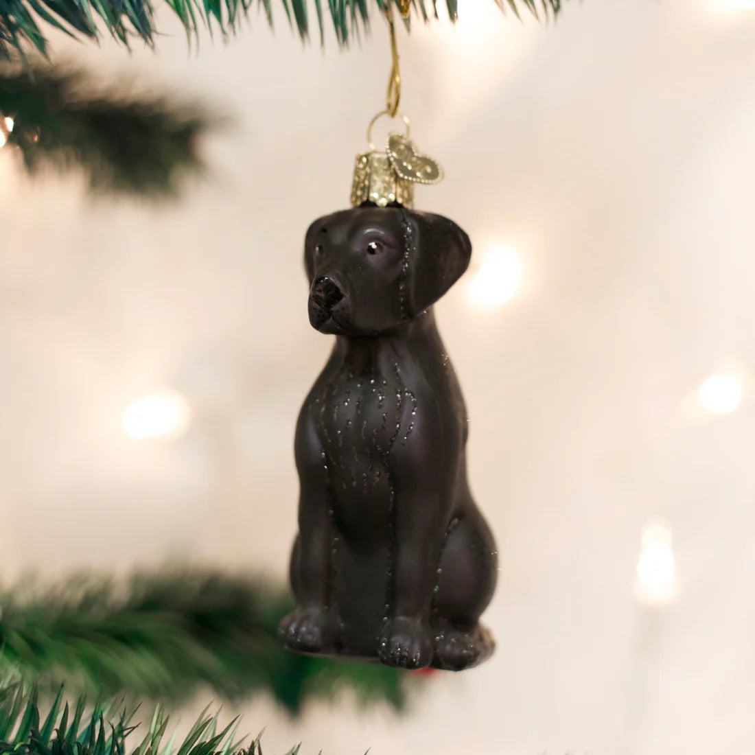 Black Lab