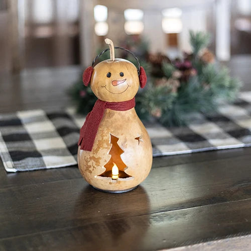 Winter Snow Lady