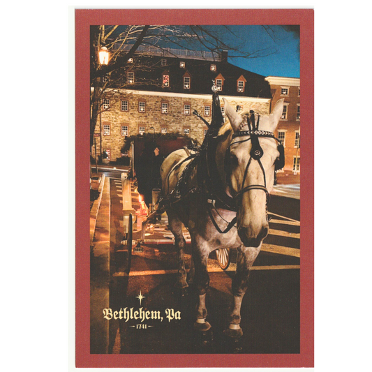 Horse Drawn Carriage on Main