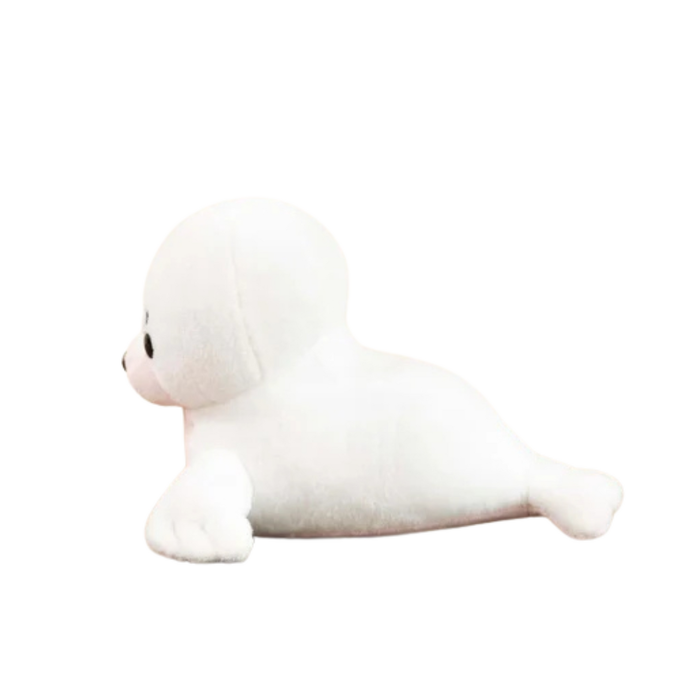 Seali the Seal