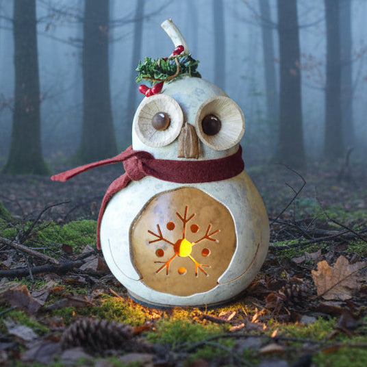 Olwen owl