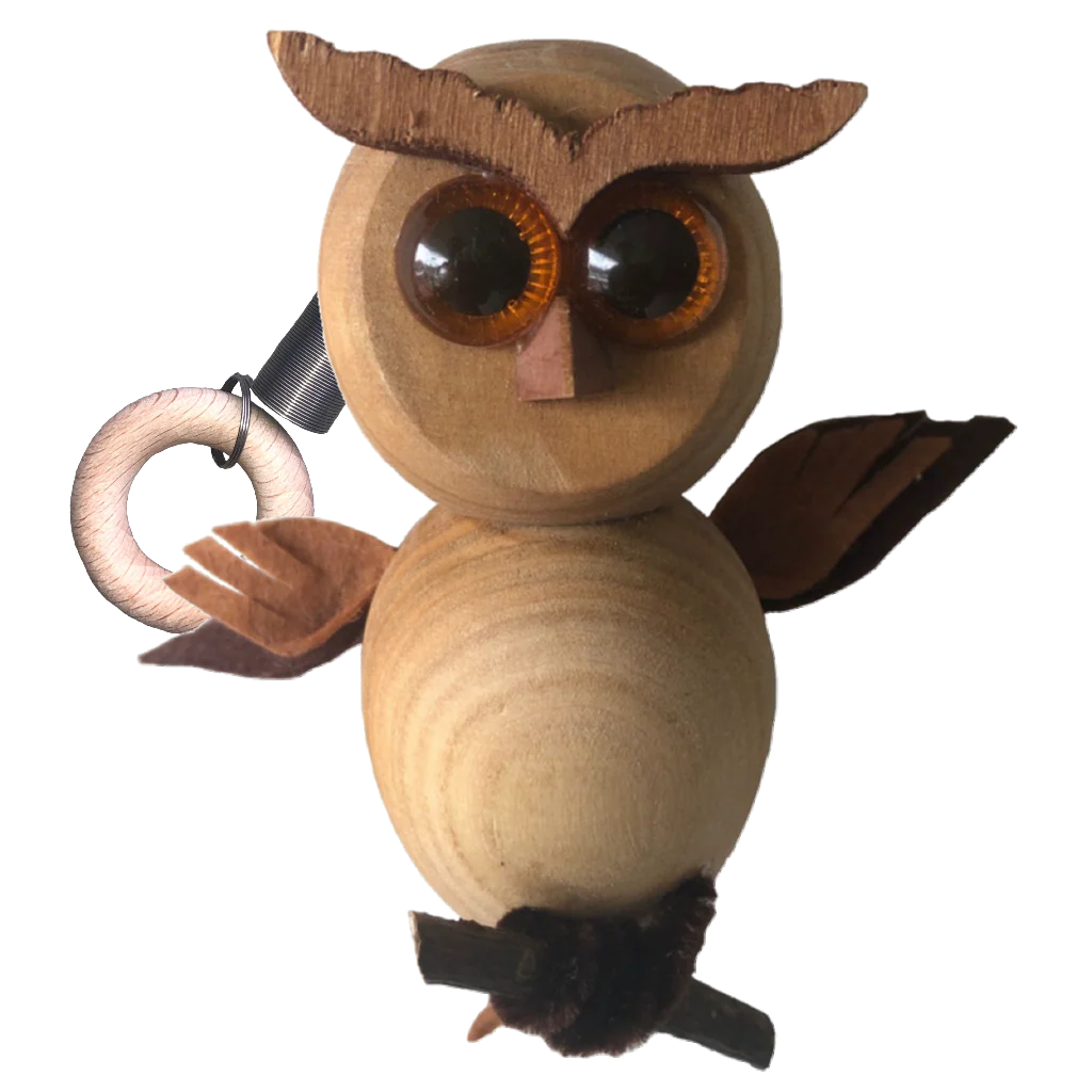 Wooden Owl Bouncie